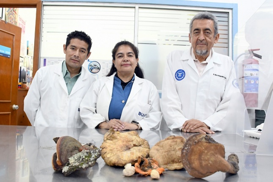 El CICA-ICUAP rescata saberes ancestrales sobre hongos silvestres en La Malinche