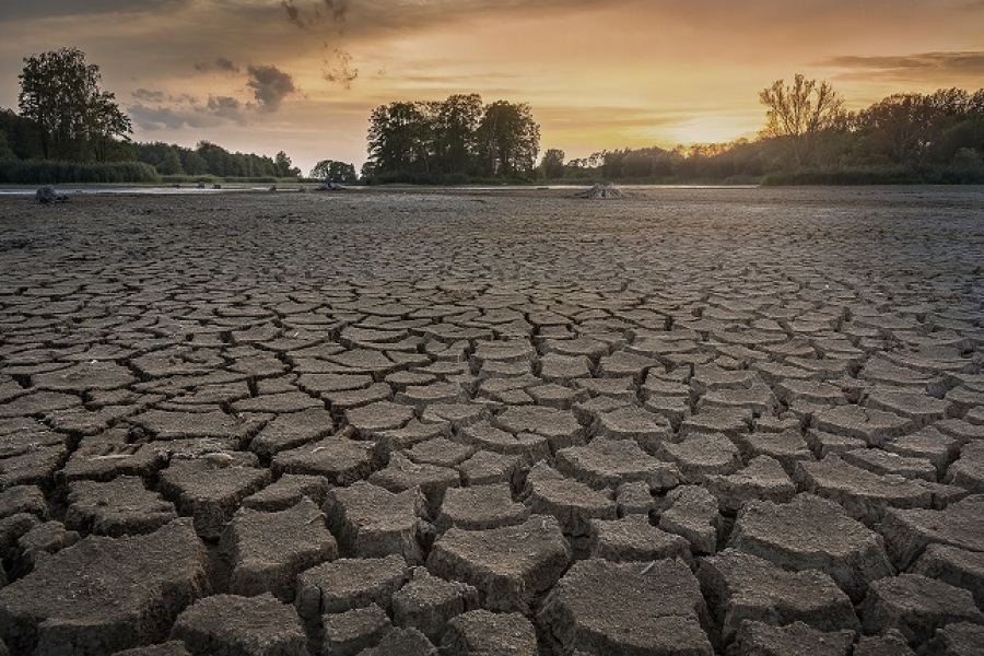 Cambio climático y sequía, desafíos para la sobrevivencia de la humanidad