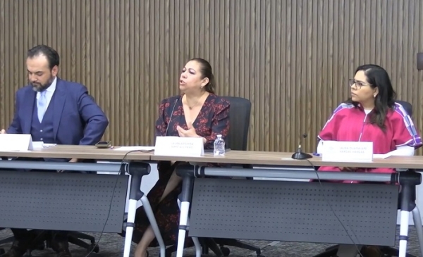 Ley Chaleco requiere más cámaras de seguridad conectadas al C5: Laura Artemisa