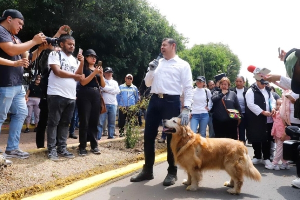 Gobierno federal y estatal impulsarán campaña de protección de animales