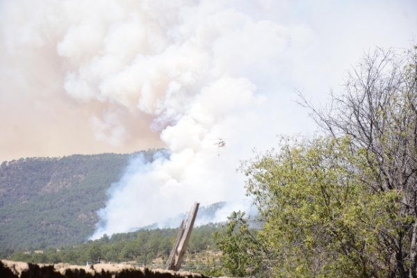 Incendio en Libres deja columna de humo que llega a Puebla