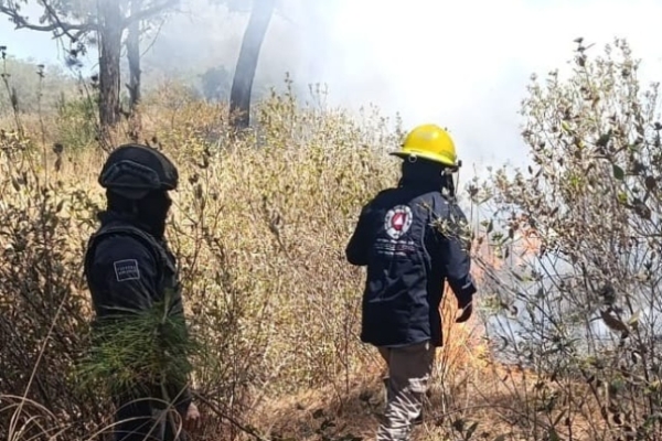 Policía Montada refuerza vigilancia en el Cerro Zapotecas y se suma al combate de incendios