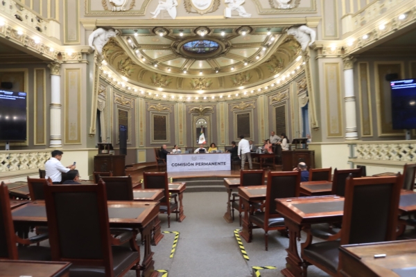 Impulsan en el Congreso iniciativas y puntos de acuerdo en materia de bienestar animal