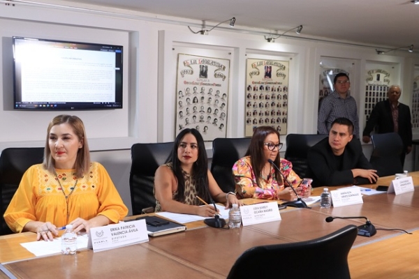 Aprueba Comisión del Congreso que Ayuntamientos destinen espacios para &quot;nenis&quot;