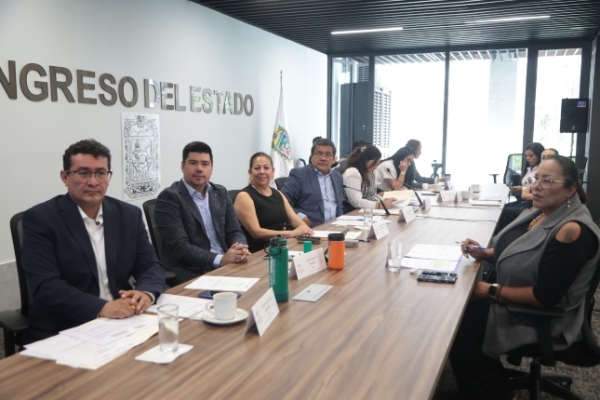 Avalan en Comisión del Congreso reformas en materia de igualdad sustantiva y erradicación de la brecha salarial