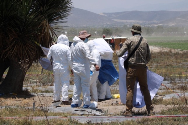 De la mano, Comisión de Búsqueda y FGE trabajan en terrenos de Palmar de Bravo
