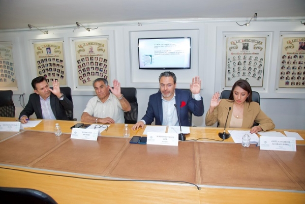 Aprueba Comisión convocatoria para la elección de integrantes del Consejo Consultivo de la CDH