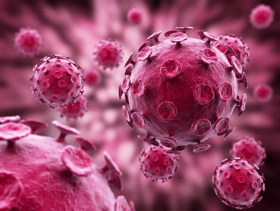 ¿Eres activo sexualmente? Evita el contacto con el virus del papiloma humano