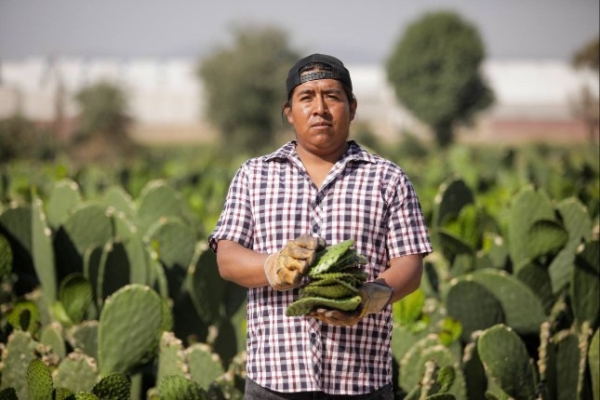 Invita Lupita Cuautle a la 29 Feria del Nopal