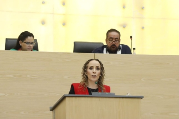 Impulsan en el Congreso iniciativa para proteger abejas y evitar riesgos en zonas urbanas
