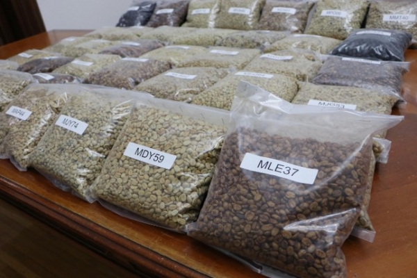 Concurso de Calidad en Taza reunirá lo mejor del café poblano